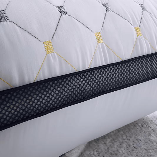 Filled Embroidered Pillows - Pack of 2