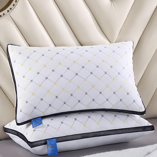 Filled Embroidered Pillows - Pack of 2